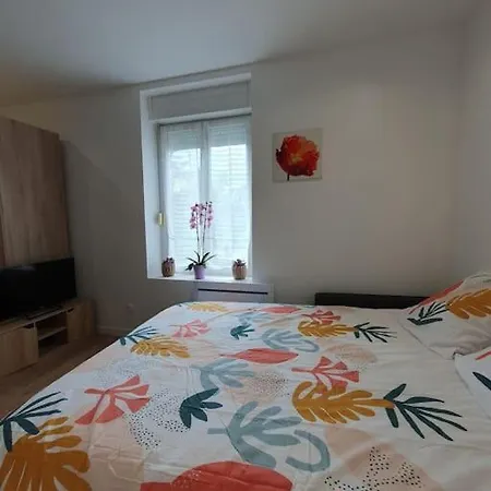 Studio Coquelicot Apartment Nancy