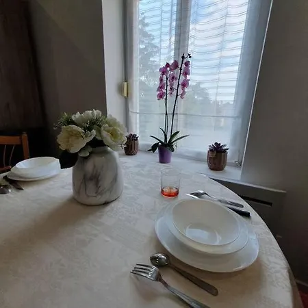 Studio Coquelicot