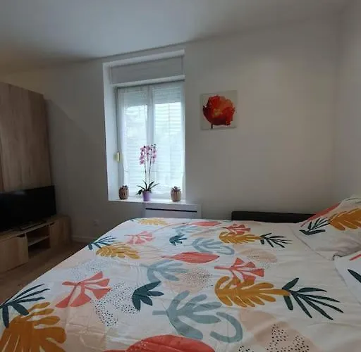 Studio Coquelicot Apartment Nancy